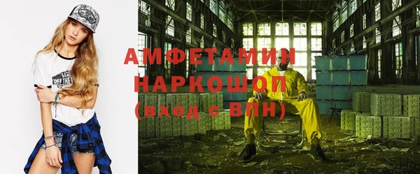 прущие грибы Нефтекумск